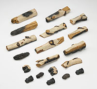 SFE_Triton Birch Log Set_so_HiRes.jpg